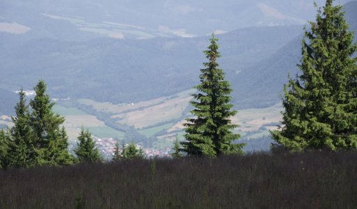 17. rocnik turistika