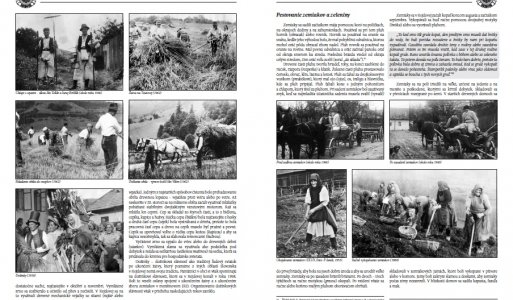 Monografia obce Rejdová