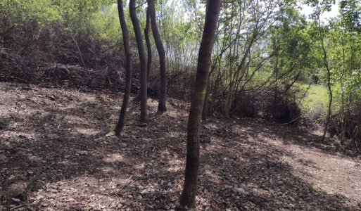 Aktuality / Preži dobrodružstvo v zákutiach Sterminy nad Hamrisk