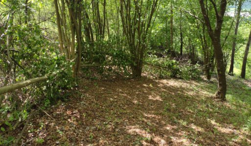 Aktuality / Preži dobrodružstvo v zákutiach Sterminy nad Hamrisk