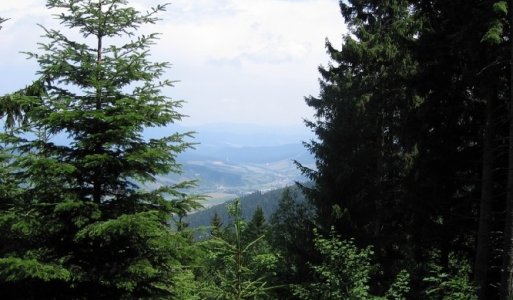 Fotky - Stolica 2006