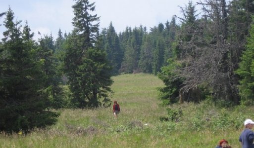 Fotky - Stolica 2006