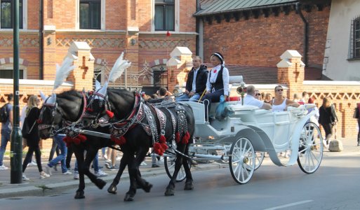 Poznávací zájazd v Poľsku