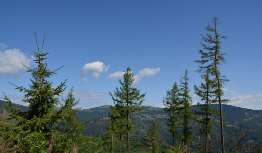 Výstup na Stolicu 2016