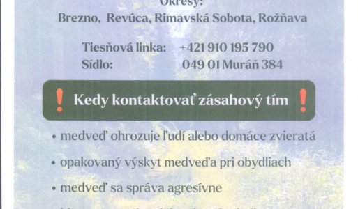 Aktuality / Zásahový tím pre medveďa hnedého