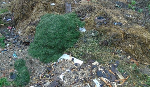 Rejdová bez odpadu - sanácia nelegálnej skládky odpadu