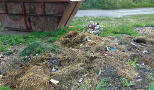 Rejdová bez odpadu - sanácia nelegálnej skládky odpadu
