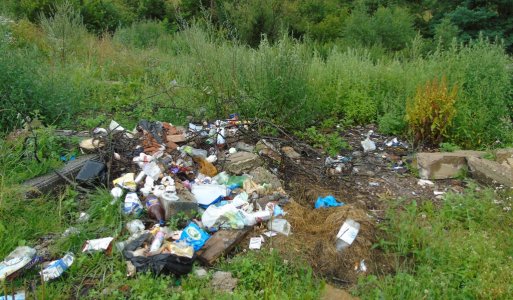 Rejdová bez odpadu - sanácia nelegálnej skládky odpadu