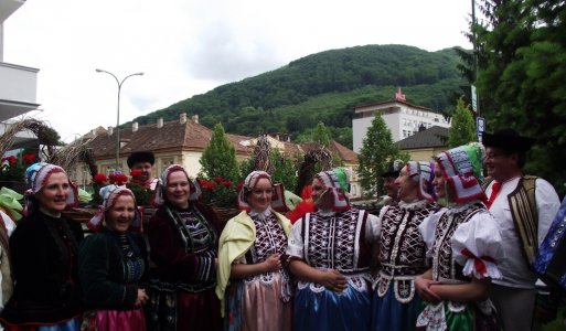 Folklórna skupina 5