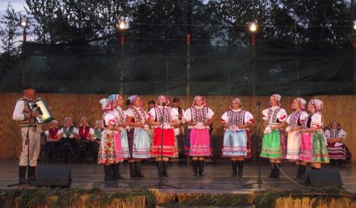 Folklórna skupina 6